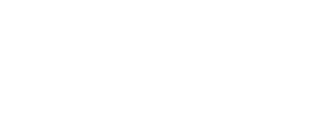 ZL Audio